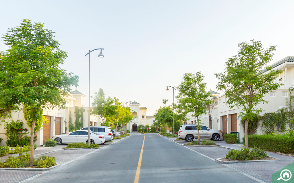Nadd Al Hamar Dubai Residential Street View