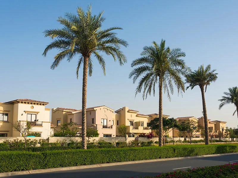 al warqaa 1 dubai area guide 2025 neighbourhood al warqaa 1, dubai area guide 2025 neighbourhood